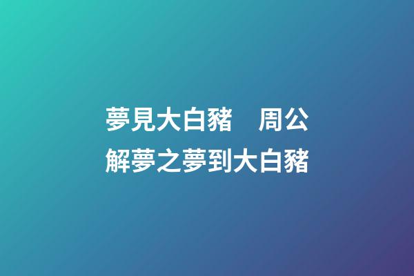 夢見大白豬　周公解夢之夢到大白豬